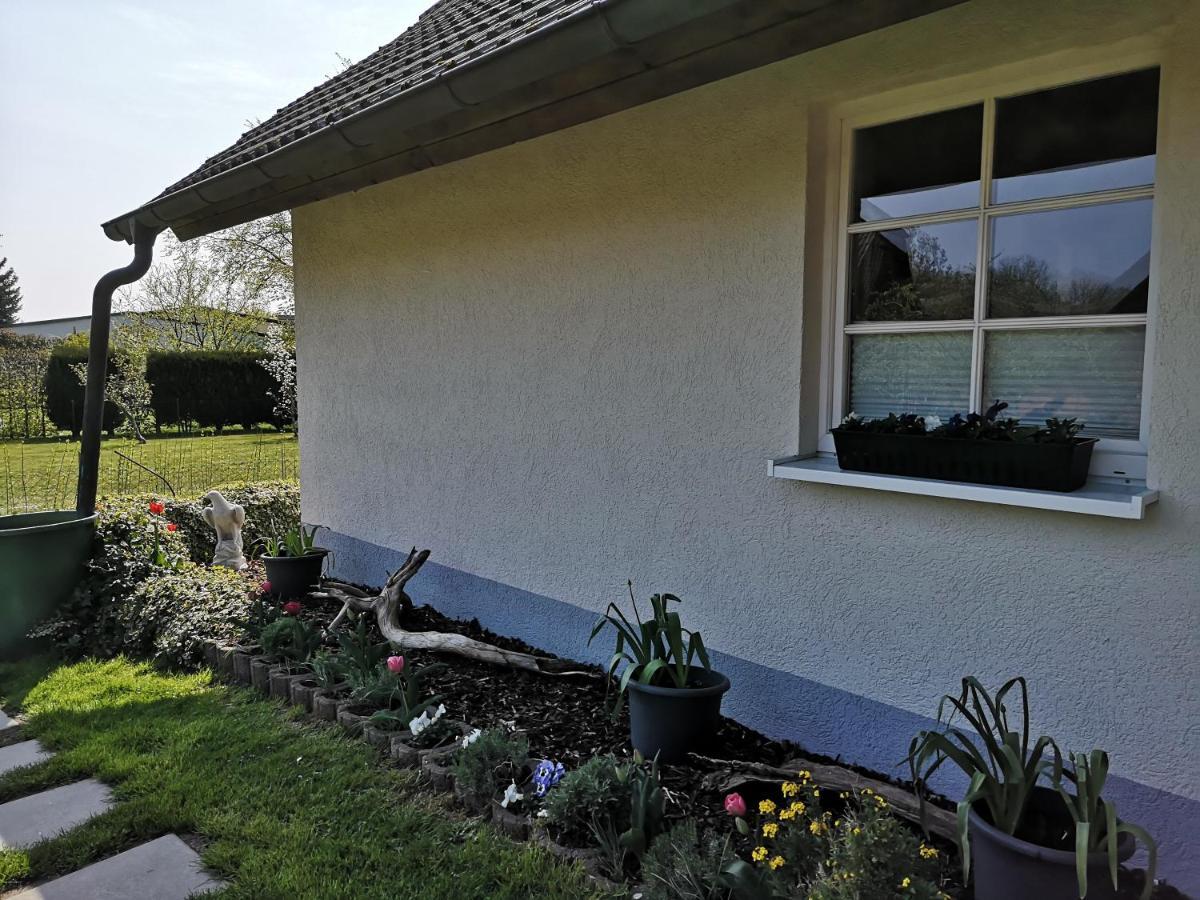 Boddenhus Auf Ruegen - Ferienwohnungen Und Pension Rappin Экстерьер фото