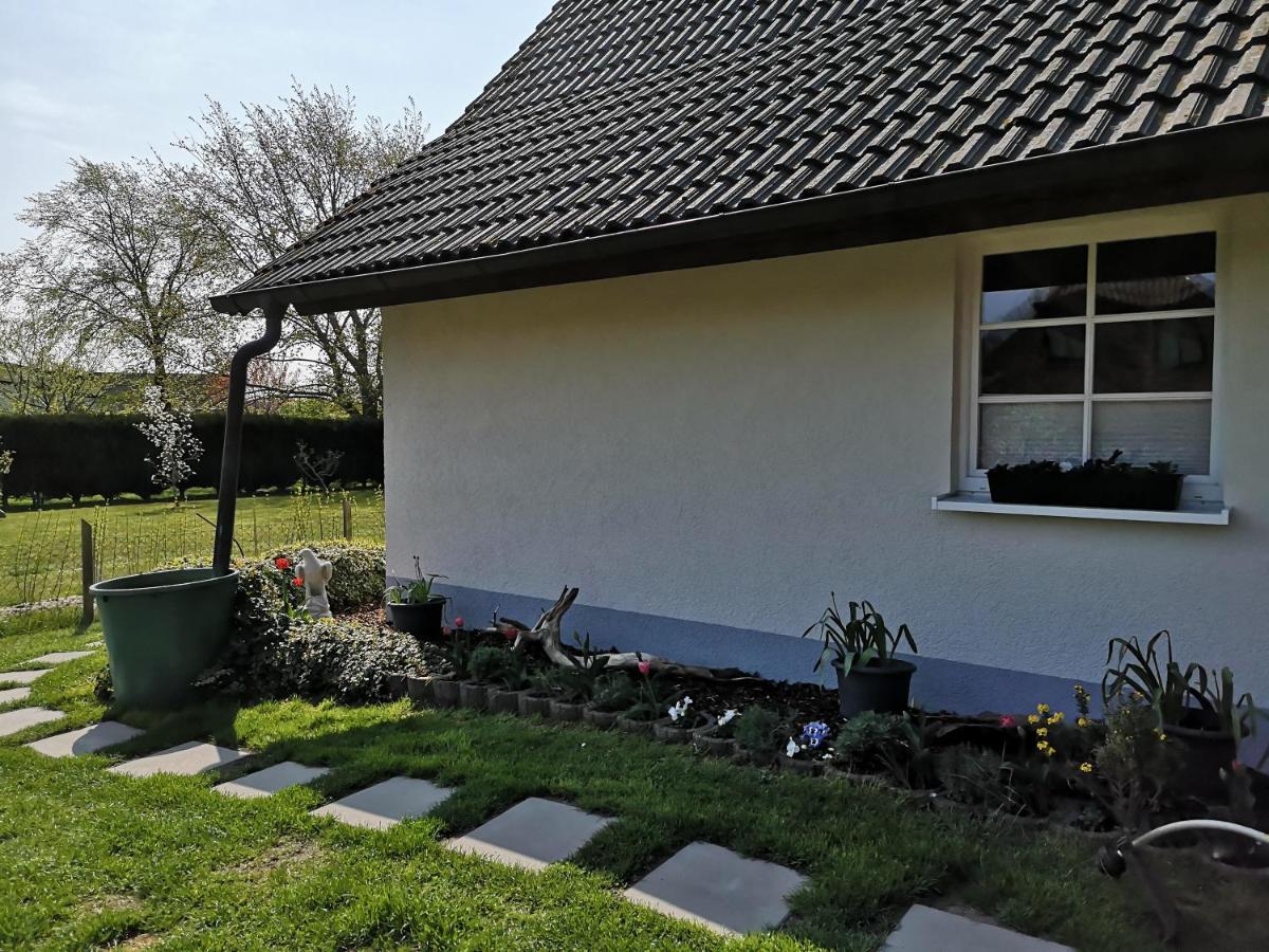 Boddenhus Auf Ruegen - Ferienwohnungen Und Pension Rappin Экстерьер фото
